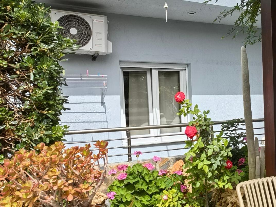 Eva Ivoni Apartments Amoudara Lasithiou 외부 사진